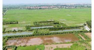 Miễn thuế sử dụng đất nông nghiệp đến hết 2025 mới nhất