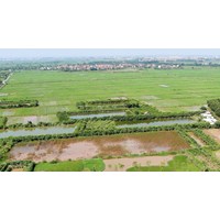 Miễn thuế sử dụng đất nông nghiệp đến hết 2025 mới nhất