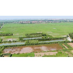 Miễn thuế sử dụng đất nông nghiệp đến hết 2025 mới nhất