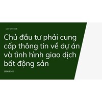 Chủ đầu tư phải cung cấp thông tin về dự án và tình hình giao dịch bất động sản