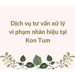 Dịch vụ tư vấn xử lý vi phạm nhãn hiệu tại Kon Tum