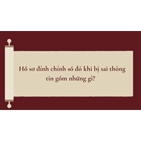 Hồ sơ đính chính sổ đỏ khi bị sai thông tin gồm những gì?