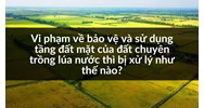 Vi phạm về bảo vệ và sử dụng tầng đất mặt của đất chuyên trồng lúa nước thì bị xử lý như thế nào?