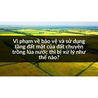 Vi phạm về bảo vệ và sử dụng tầng đất mặt của đất chuyên trồng lúa nước thì bị xử lý như thế nào?