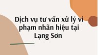 Dịch vụ tư vấn xử lý vi phạm nhãn hiệu tại Lạng Sơn