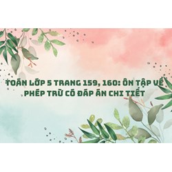 Toán lớp 5 trang 159, 160: Ôn tập về phép trừ có đáp án chi tiết