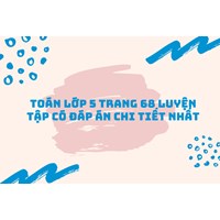 Toán lớp 5 trang 68 Luyện tập có đáp án chi tiết nhất