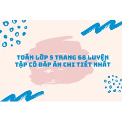 Toán lớp 5 trang 68 Luyện tập có đáp án chi tiết nhất