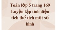 Toán lớp 5 trang 169 Luyện tập tính diện tích thể tích một số hình