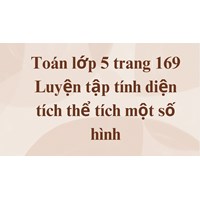 Toán lớp 5 trang 169 Luyện tập tính diện tích thể tích một số hình