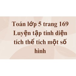 Toán lớp 5 trang 169 Luyện tập tính diện tích thể tích một số hình
