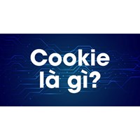 Cookie là gì? Hướng dẫn cách bật và xóa Cookie trên Google Chrome?