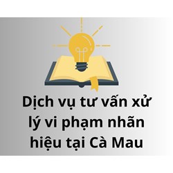 Dịch vụ tư vấn xử lý vi phạm nhãn hiệu tại Cà Mau