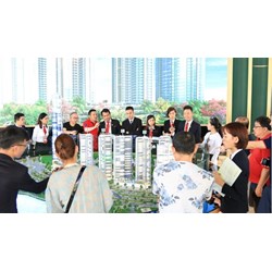 Công ty môi giới việc bị thu hồi giấy phép khi nào?