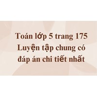 Toán lớp 5 trang 175 Luyện tập chung có đáp án chi tiết nhất