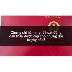Chứng chỉ hành nghề hoạt động đấu thầu được cấp cho những đối tượng nào?