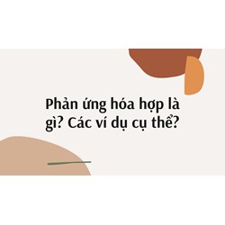 Phản ứng hóa hợp là gì? Các ví dụ cụ thể?