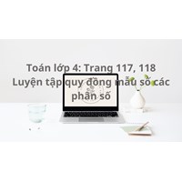 Toán lớp 4 trang 117, 118 Luyện tập quy đồng mẫu các phân số