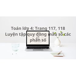 Toán lớp 4 trang 117, 118 Luyện tập quy đồng mẫu các phân số