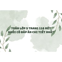 Toán lớp 5 trang 118 Mét khối có đáp án chi tiết nhất