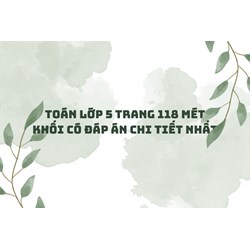 Toán lớp 5 trang 118 Mét khối có đáp án chi tiết nhất