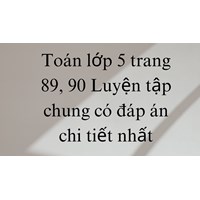 Toán lớp 5 trang 89, 90 Luyện tập chung có đáp án chi tiết nhất