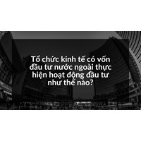 Tổ chức kinh tế có vốn đầu tư nước ngoài thực hiện hoạt động đầu tư như thế nào?