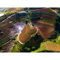 Suy nghĩ của em về nhân vật Vũ Nương chọn lọc hay nhất