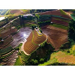 Suy nghĩ của em về nhân vật Vũ Nương chọn lọc hay nhất