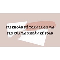 Tài khoản kế toán là gì? Vai trò của tài khoản kế toán