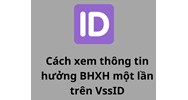 Cách xem thông tin hưởng BHXH một lần trên VssID