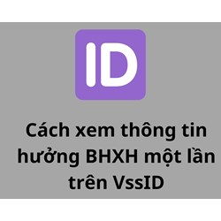 Cách xem thông tin hưởng BHXH một lần trên VssID