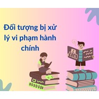 Đối tượng bị xử lý vi phạm hành chính