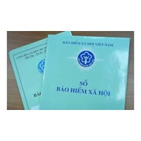 Cơ quan nào giải quyết khiếu nại về Bảo hiểm xã hội? Trình tự giải quyết khiếu nại về bảo hiểm xã hội