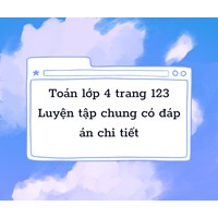 Toán lớp 4 trang 123 Luyện tập chung có đáp án chi tiết
