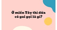 Ở miền Tây thì dứa có gai gọi là gì?