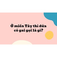 Ở miền Tây thì dứa có gai gọi là gì?