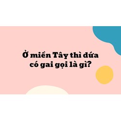 Ở miền Tây thì dứa có gai gọi là gì?