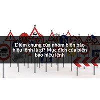 Điểm chung của nhóm biển báo hiệu lệnh là gì? Mục đích của biển báo hiệu lệnh