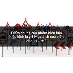 Điểm chung của nhóm biển báo hiệu lệnh là gì? Mục đích của biển báo hiệu lệnh