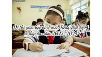 Đề thi giữa học kì 2 môn Tiếng Việt lớp 4 có đáp án chi tiết