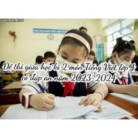 Đề thi giữa học kì 2 môn Tiếng Việt lớp 4 có đáp án chi tiết