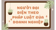 Người đại diện theo pháp luật của doanh nghiệp