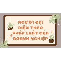 Người đại diện theo pháp luật của doanh nghiệp