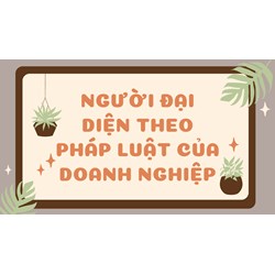 Người đại diện theo pháp luật của doanh nghiệp