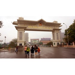 Giấy phép vận tải đường bộ quốc tế giữa Việt Nam và Trung Quốc gồm có những loại nào?