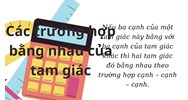 Các trường hợp bằng nhau của tam giác kèm ví dụ minh hoạ dễ hiểu