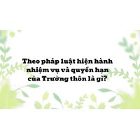 Theo pháp luật hiện hành nhiệm vụ và quyền hạn của Trưởng thôn là gì?