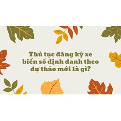Thủ tục đăng ký xe biển số định danh theo dự thảo mới là gì?