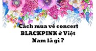 Cách mua vé concert BLACKPINK ở Việt Nam là gì ?